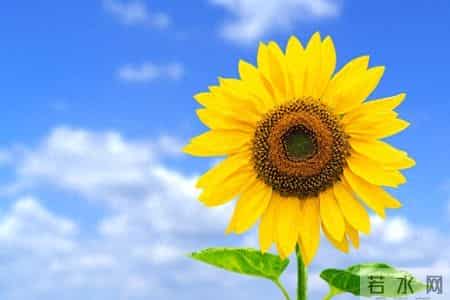 如果一个人还在穿10年前的衣服，说明了3个问题