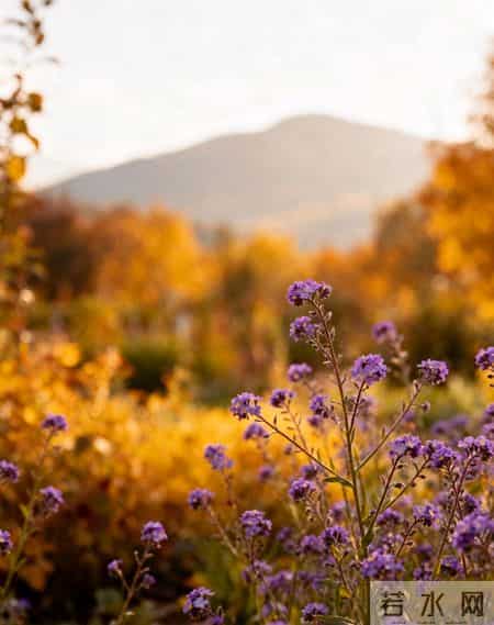 晚年钞票压箱底的四个星座，根本闲不下来