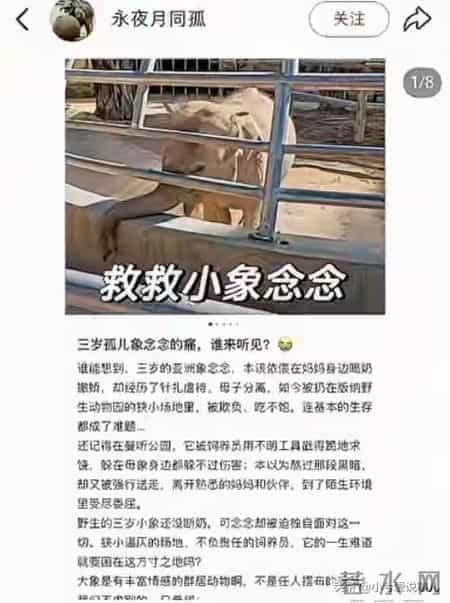 西双版纳动物园小象被虐后续：遭虐三年手段残忍，园方处罚太轻了