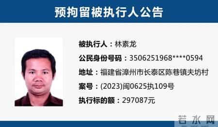 漳州市长泰区人民法院预拘留公告(2026年第一期)