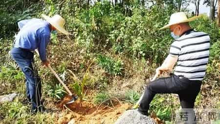 赔不起就种树! 2019年江苏男子河边诱捕2万多只, 判赔600万无力支付