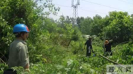 赔不起就种树! 2019年江苏男子河边诱捕2万多只, 判赔600万无力支付