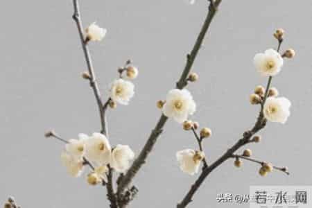 亲人去世，不掉眼泪的，多半是这4类人，很现实