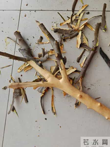 晒晒我婆婆的“0元收纳方式”，没花一分钱，家里收拾的井井有条