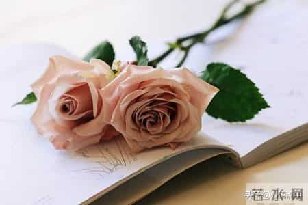 人这一辈子，说到底就三件事！忙完就该散场了，话糙理不糙