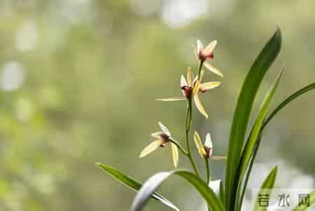 男人别错过！微信上女人发这3个表情，就是喜欢你的信号