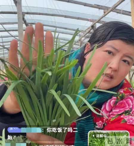 小二姐回老家带货，头发花白显老气，体型壮硕跟大姐相仿