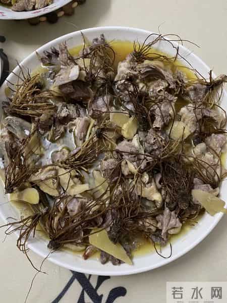 只有广东人才才懂这个菜的含金量~