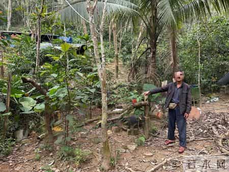 1只都不能抓！海南男子用笼子抓57只，连皮带肉放冰箱