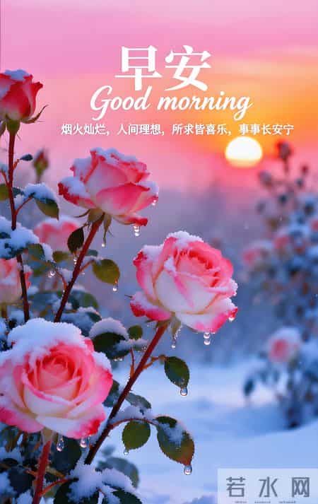 早安 ~ 今日的美好已装满：一缕阳光，一阵花香，满满好运。