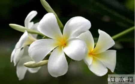 对于孩子,父母的眼光,不能太散了,也不不能太聚焦了