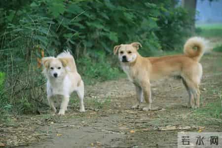 1982年出生的人,感情和婚姻都躲不过这个规律