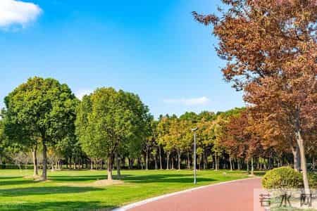 青岛人的五大怪习惯！外地人难接受，直呼 “太离谱”！