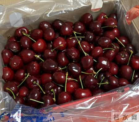 女子嫁云南果商，吃车厘子得给钱，偷拉一车水果回娘家，婆婆炸了