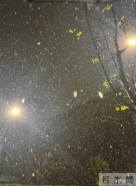 1.31!凌晨!杭州大雪纷飞