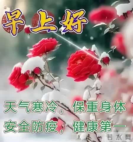 2026年1月26日，五九第一天至亲友问候祝福语图片，愿你好运常伴