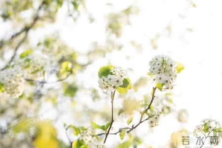 容易偷人的女人，几乎都是在朋友圈晒这些东西的女人