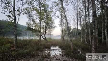 人到中年：请妥善经营自己的45-55岁……