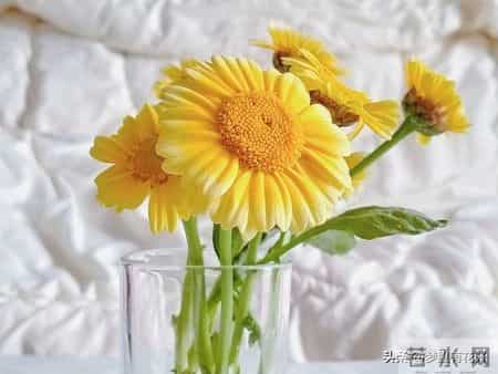 白羊座，1月27号星期二，你有四件喜事，拦都拦不住