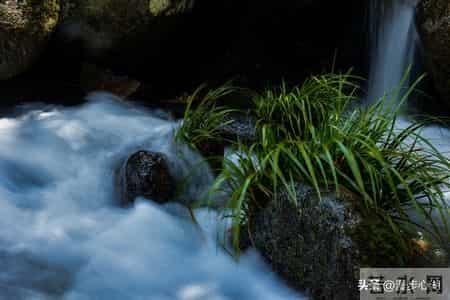 两性关系:58岁后女人,肯让你抱、让你亲,就是心防彻底破了