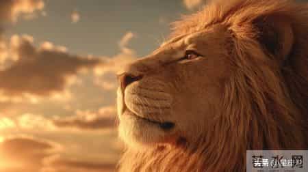 狮子座，你摊上“事”了！1月30号后，你最大的两件好事捂不住了