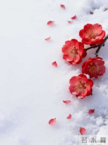 你焦虑个锤子！看完这10句话，瞬间清醒，所有内耗全消散！