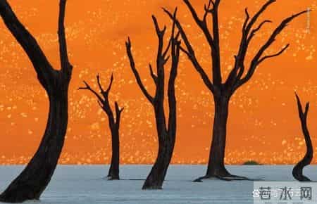 48张老照片看奇闻奇事，爱因斯坦合影卓别林，沙漠中的绿洲，在建中的埃菲尔铁塔