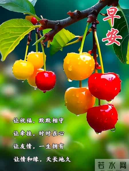 2026年1月27日早上好 早安温馨祝福语 早安周二愉快 早安精美美图