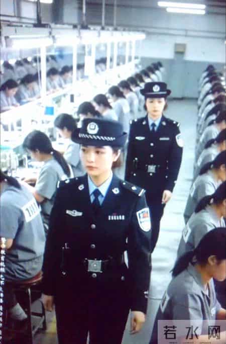 当下女子监狱中，哪种犯人最多？