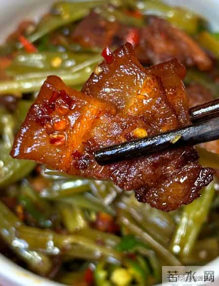 我家一周的晚餐就靠它们！10道百搭家常菜，简单又好吃不重样