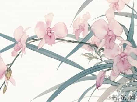 约中年女人不用绕弯子，就用这四个笨办法！