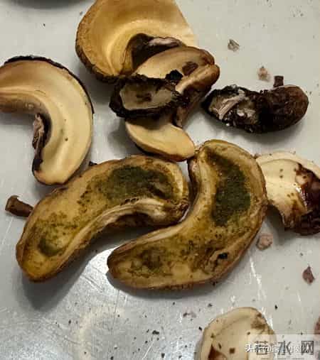 临近过年，有钱也别瞎买！这6样，白送都不要，别买了