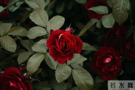 一个城府深的人，报复你的方式往往只有三种，看似不动声色，其实招招致命