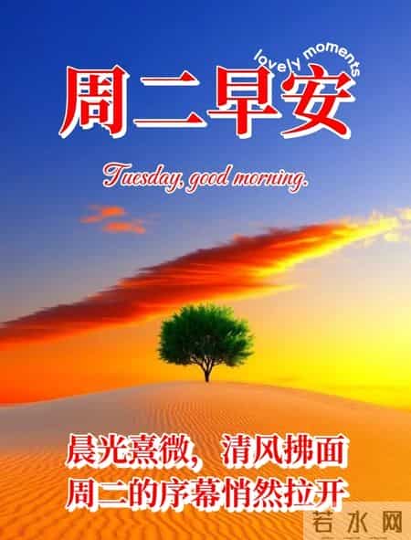 40张每天不重样的早安暖心祝福图片，早安问候送给你。愿君事事皆如意，岁岁安康福满溢
