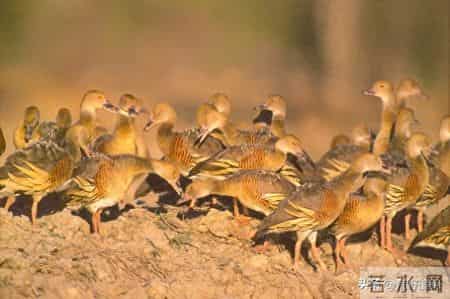 猎杀吧少年——(九十)抓赌(上)