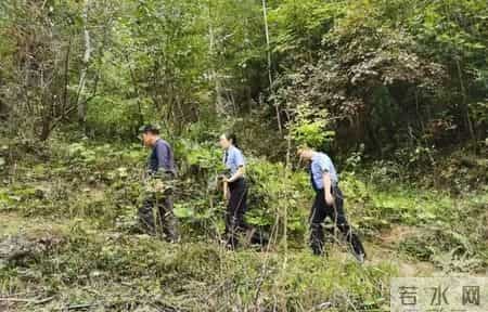 1只都不能抓！海南男子用笼子抓57只，连皮带肉放冰箱