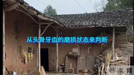 大案纪实－贵州森林白骨案