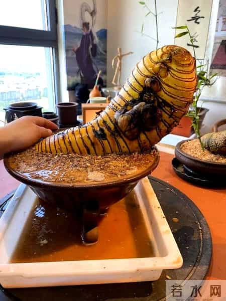 女子晒老公养的花,贵还难看,一言难尽咋劝退,网友:其实不丑