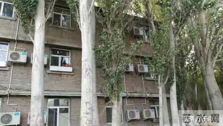 我九十年代在阿拉沟曾当过临时广播员，同事说我口播通知像念悼词