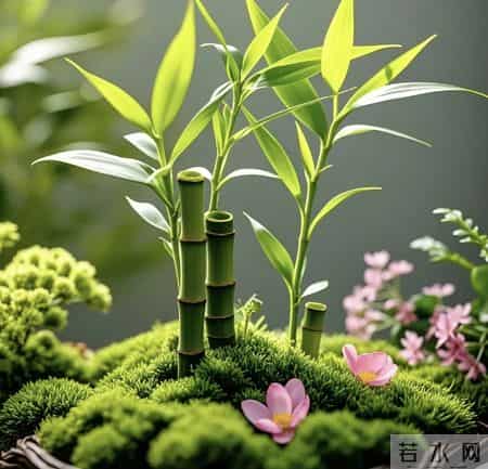 越用越旺的节节高升头像