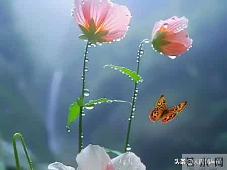 别只会亲吻拥抱！触碰女人这一软肋，才会让她彻底为你沦陷