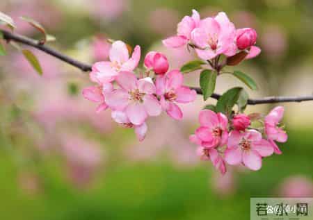 容易背着老公偷人的女人，是这样看起来“老实”的女人，别被骗了