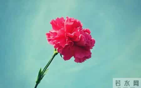 真正爱你的男人，最明显的表现，就这两个行为，很准