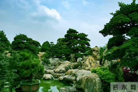 人过65岁，永远不要在熟人面前，说以下这几句话，谁说谁后悔