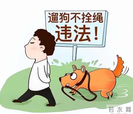 你的宠物狗，凭什么让他人付出代价？