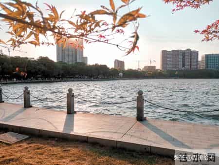 花500元请阿姨打扫卫生，完事她红着脸问：我不要工钱，有个要求