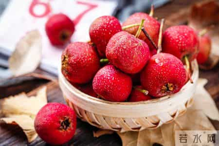 甩掉57斤!荷叶+三宝煮水喝,清浊一身轻,腰围天天小一圈!