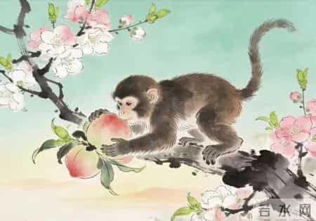 猴儿,明天开始,你要炸场子了!