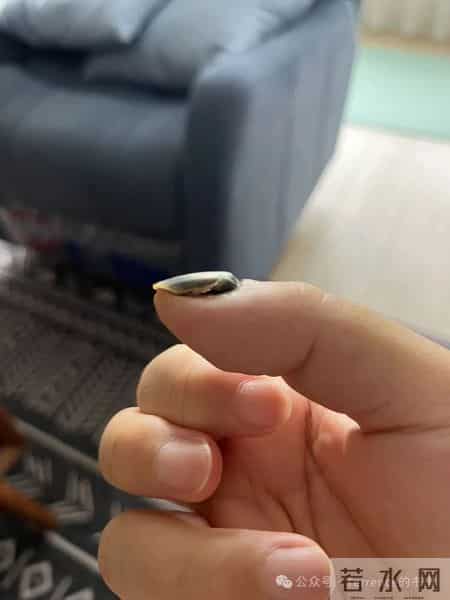 网友记录手指甲掉落的全过程