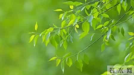 你以为60岁女性都安分？其实过了60岁，女性普遍有着七大隐秘变化